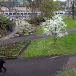 A primavera dá um novo colorido a cidade