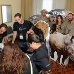 Equipe da South African com os agentes de viagens