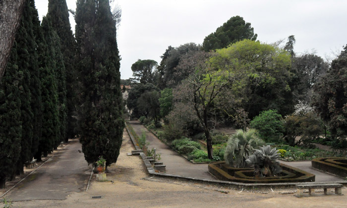 Jardim localizado no bairro universitário próximo à faculdade de Medicina Jardim localizado no bairro universitário próximo à faculdade de Medicina