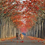 Uma rua em Taiwan