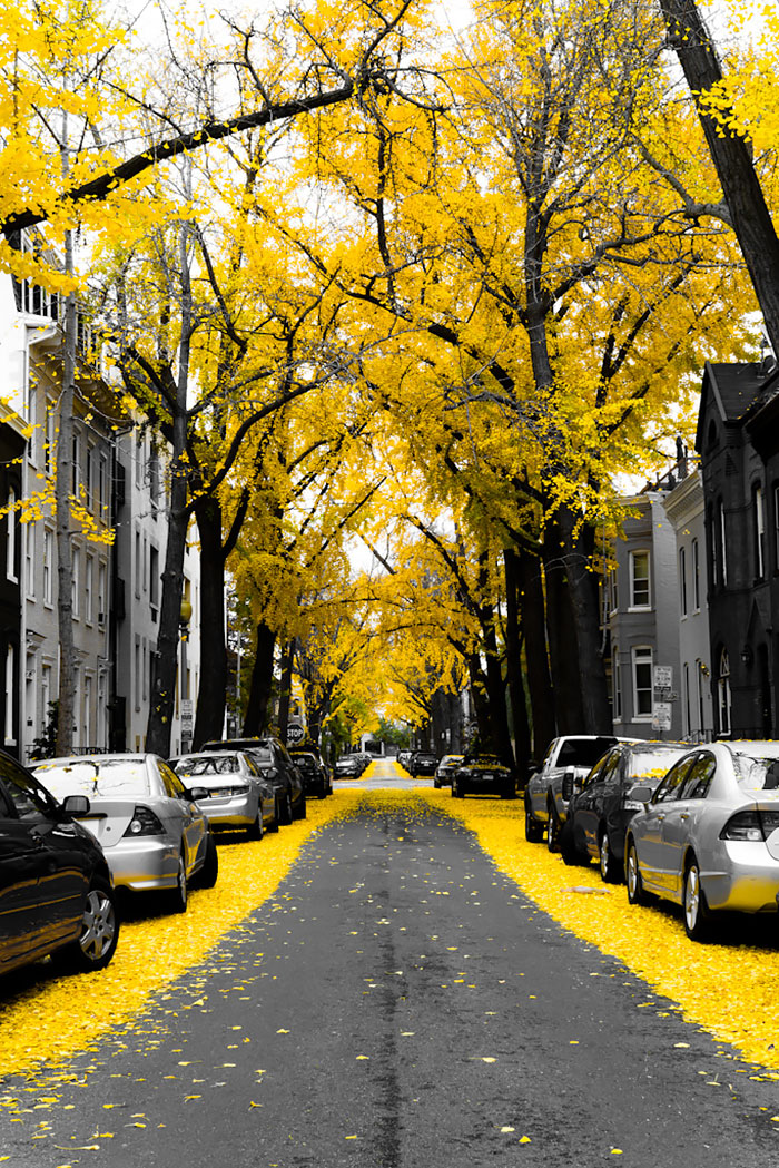 Washington, EUA