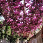 Positano, Itália