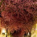 Bonn, Alemanha
