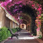 Rua na cidade de Valência, Espanha