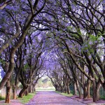 Cullinan, África do Sul