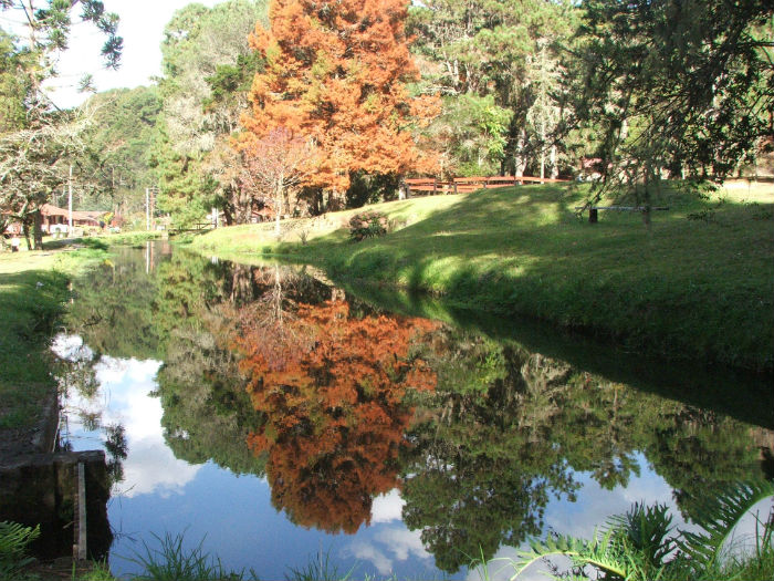 Horto Florestal em Campos do Jordão, SP (Foto: José Alfredo Rodrigues) Horto Florestal em Campos do Jordão, SP (Foto: José Alfredo Rodrigues)