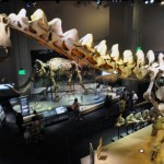 Dallas - Perot Museum