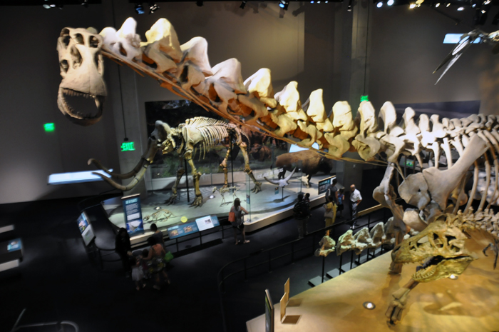 Dallas - Perot Museum