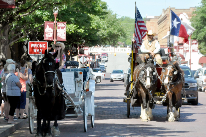 Fort Worth - Mais uma cena do tradicional desfile da cidade