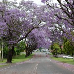 Grafton, Australia