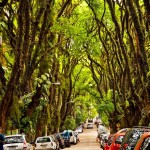 Rua Gonçalo de Carvalho, Porto Alegre, Brasil