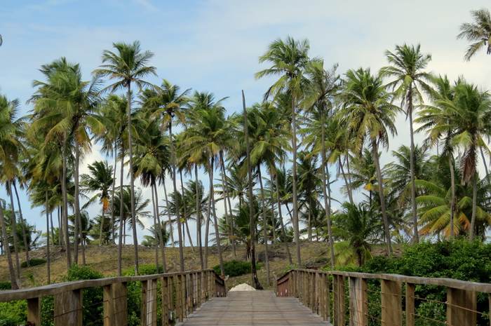 Ponte entre o resort e a praia de Imbassaí Ponte entre o resort e a praia de Imbassaí