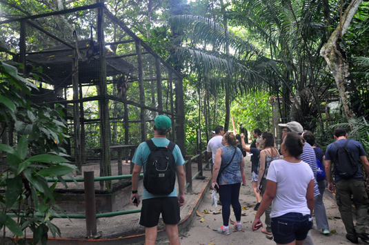 Agentes no zoológico do Tropical Manaus