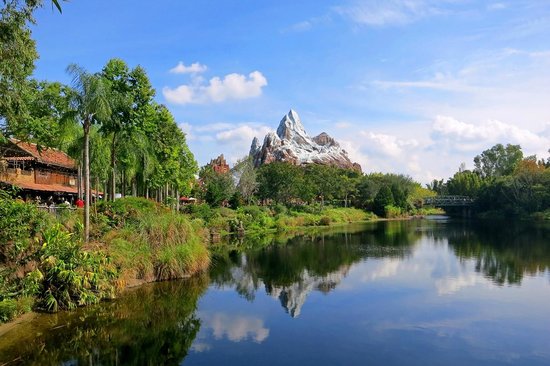 13 - Disney's Animal Kingdom, em Orlando