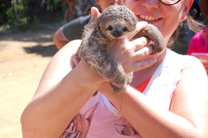 Interação com bicho preguiça em aldeia indígena Interação com bicho preguiça em aldeia indígena