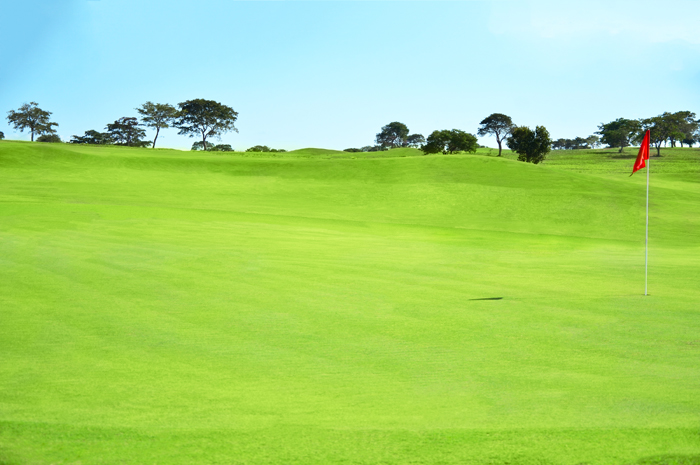 Campo de golfe    Foto: divulgação