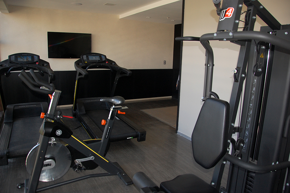 Equipamentos do fitness center Equipamentos do fitness center