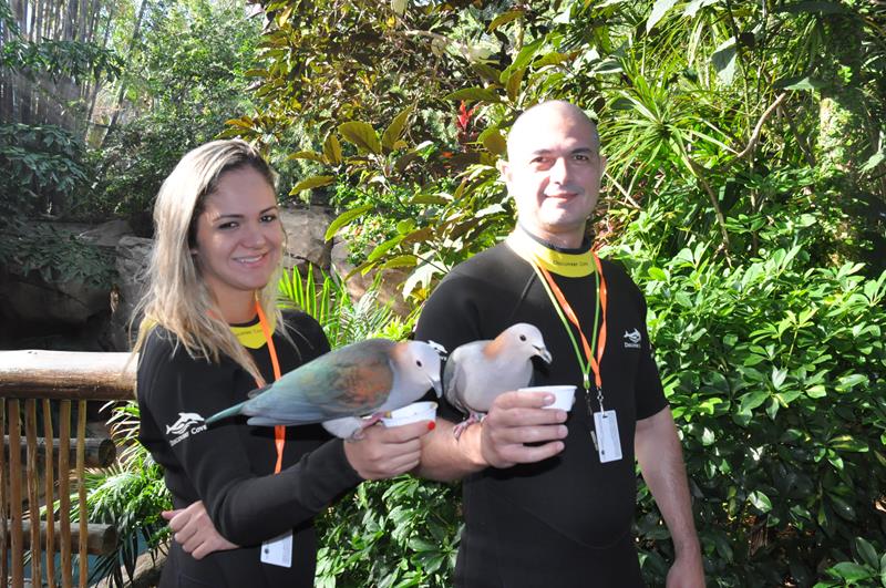 Danielle Alves, da MMT Gapnet, e Alexandre Antonielli, da Visual Turismo, alimentam pássaros no Discovery Cove Danielle Alves, da MMT Gapnet, e Alexandre Antonielli, da Visual Turismo, alimentam pássaros no Discovery Cove