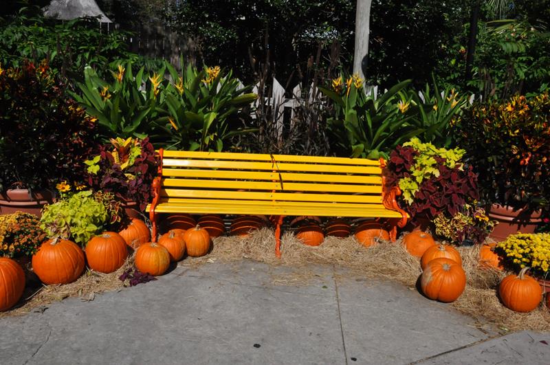 Decoração de Halloween ainda pode ser vista em alguns espaços do parque Decoração de Halloween ainda pode ser vista em alguns espaços do parque
