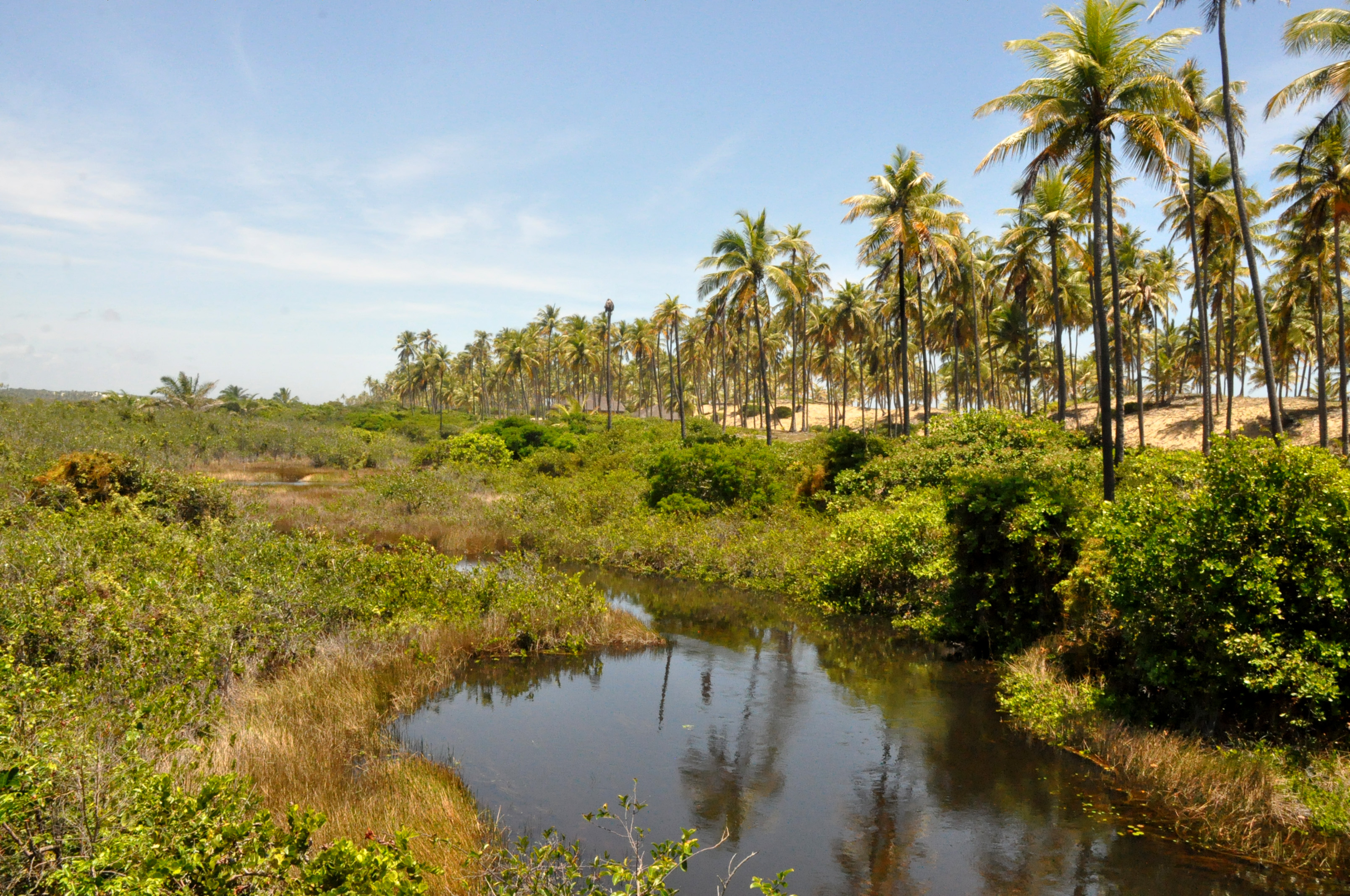 O caminho até a praia é contemplado com esta vista