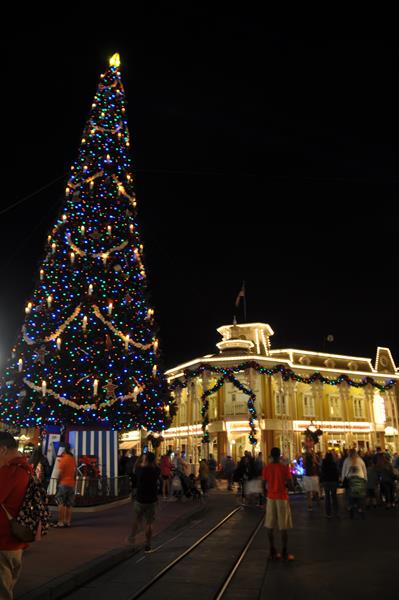 Parque já começa decoração de Natal Parque já começa decoração de Natal