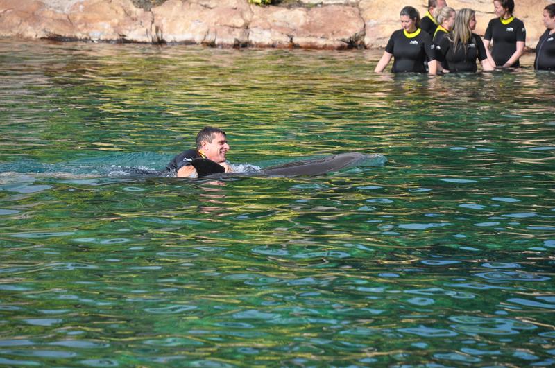 Patrick Yvars, do Visit Orlando, em sua primeira experiência com os golfinhos do Discovery Cove Patrick Yvars, do Visit Orlando, em sua primeira experiência com os golfinhos do Discovery Cove