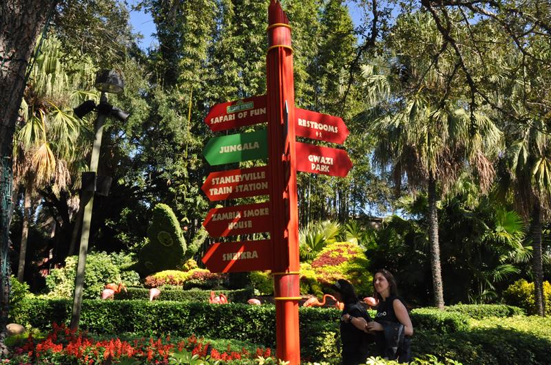 Próxima parada Sheikra Próxima parada Sheikra