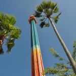 Torre da Falcon's Fury