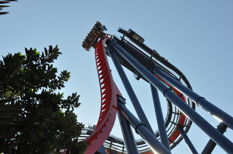 Visitantes se preparam para descida na Sheikra Visitantes se preparam para descida na Sheikra