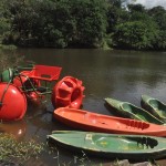 Dar uma volta de pedalinho pelos laguinhos das fazendas é uma das atrações para os viajantes