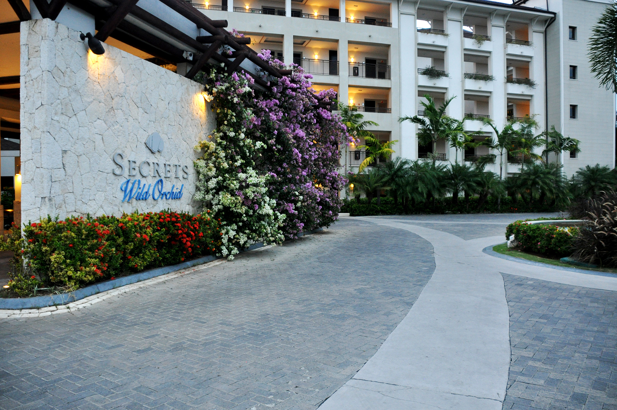 Entrada do Secrets St. Wild Orchid Entrada do Secrets St. Wild Orchid