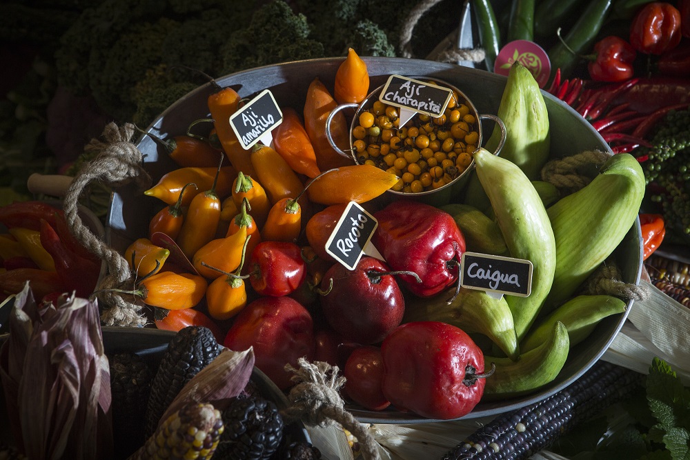 II Fórum Mundial de Turismo Gastronômico terá como destaque a culinária peruana Os convidados internacionais poderão conhecer com profundidade a experiência de sucesso peruano de como a gastronomia e o turismo se complementam