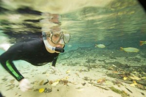 Mergulho no Rio da Prata, em Bonito (MS) (Foto: Divulgação/Embratur)