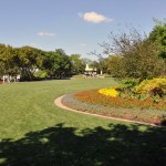 Dallas - Jardim Botânico
