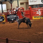 Fort Worth - A experiência incluiu a visita a um rodeio