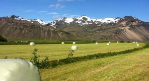 Confira 10 hospedagens para fãs de Game of Thrones Foto 06 - Bookingcom