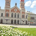PLZEN - Sinagoga da cidade, que serve para concertos musicais PLZEN - Sinagoga da cidade, que serve para concertos musicais