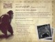 Universal revela mais detalhes da nova atração do King Kong; veja vídeo