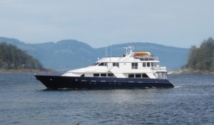 Un-Cruise apresenta novo cruzeiro no Alasca