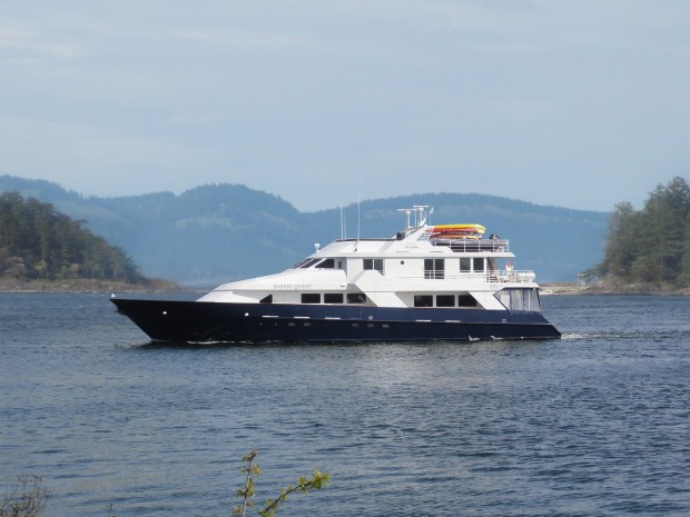 Un-Cruise apresenta novo cruzeiro no Alasca 1 Safari Quest Blue navegará por sete dias no Alasca (Foto: Un- Cruise Adventures)