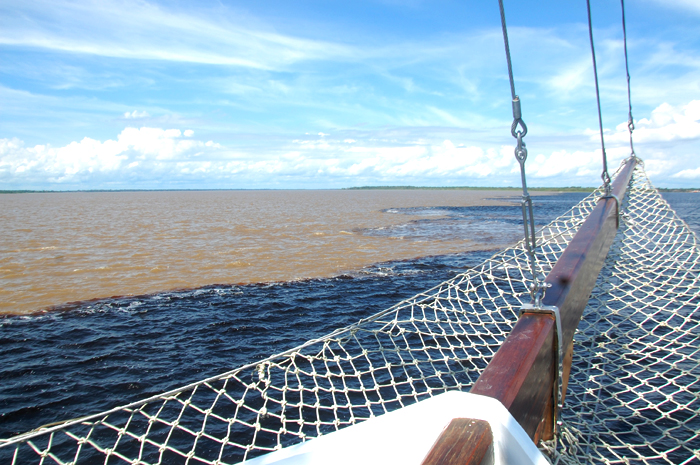 Amazônia: uma visita ao melhor da natureza 4 Uma das últimas atrações da viagem é o encontro das águas do Rio Negro e do Rio Solimões