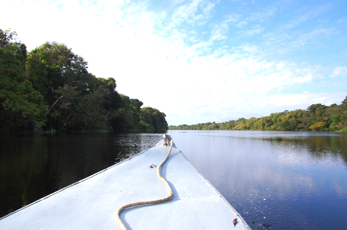 Amazônia: uma visita ao melhor da natureza 1 Paisagem do Rio Negro