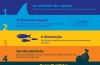 SeaWorld divulga infográfico sobre os perigos que os tubarões enfrentam na natureza