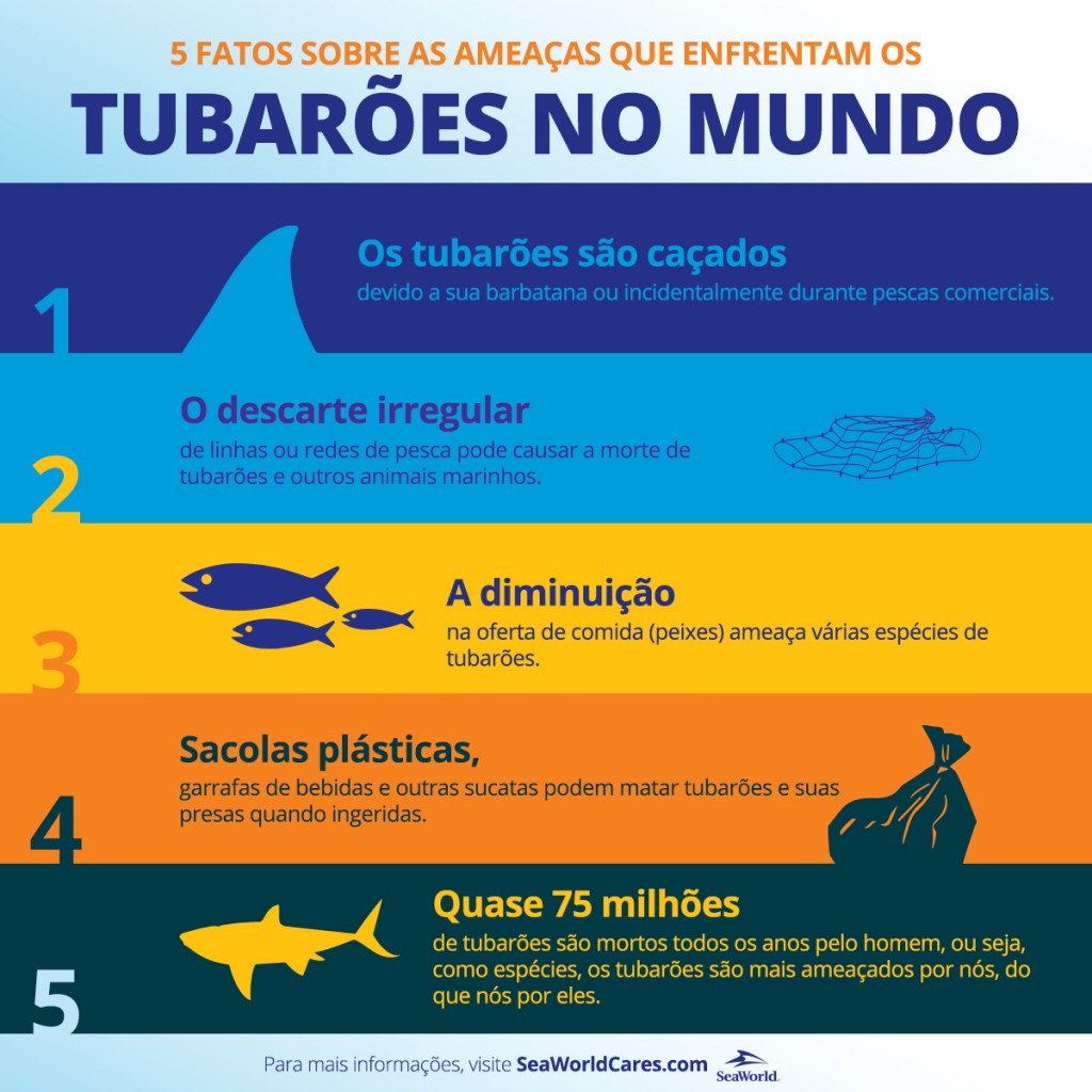 SeaWorld divulga infográfico sobre os perigos que os tubarões enfrentam na natureza 5 perigos que os tubarões enfrentam