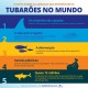 SeaWorld divulga infográfico sobre os perigos que os tubarões enfrentam na natureza