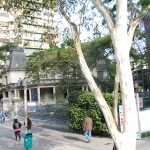 Casa das Rosas Casa das Rosas