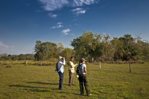 5 lugares para fazer ecoturismo no Brasil 1 Observação de Animais no Pantanal (Foto: Refúgio Ecológico Caiman)