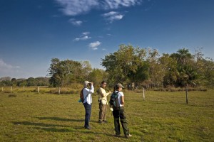 Observação de Animais no Pantanal (Foto: Refúgio Ecológico Caiman)