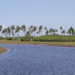 Rio Sucuruiuba Rio Sucuruiuba