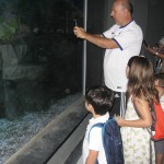 Alunos de uma escola admiram os aquarios